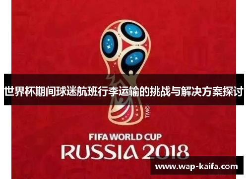 世界杯期间球迷航班行李运输的挑战与解决方案探讨