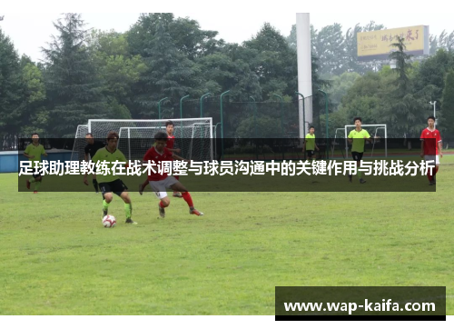 足球助理教练在战术调整与球员沟通中的关键作用与挑战分析