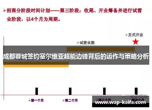 成都蓉城签约塞尔维亚超能边锋背后的运作与策略分析