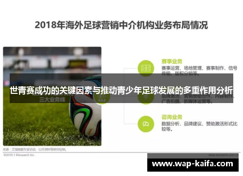 世青赛成功的关键因素与推动青少年足球发展的多重作用分析